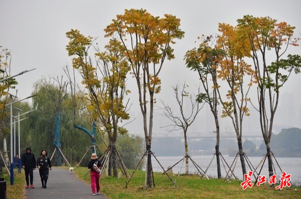 形容人口多的成语_形容不同状态的成语共计90组,每天学10组,9天全学会(2)