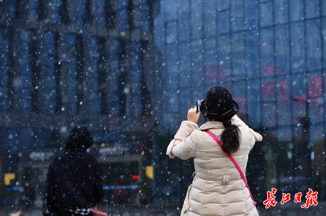 雪花飞舞忽来又去图集