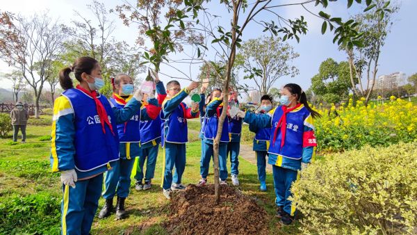 植树节，近8万市民为武汉添绿