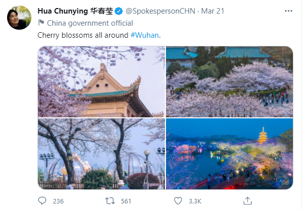 华春莹社交账号向海外推介武汉樱花，她用了这4张照片……
