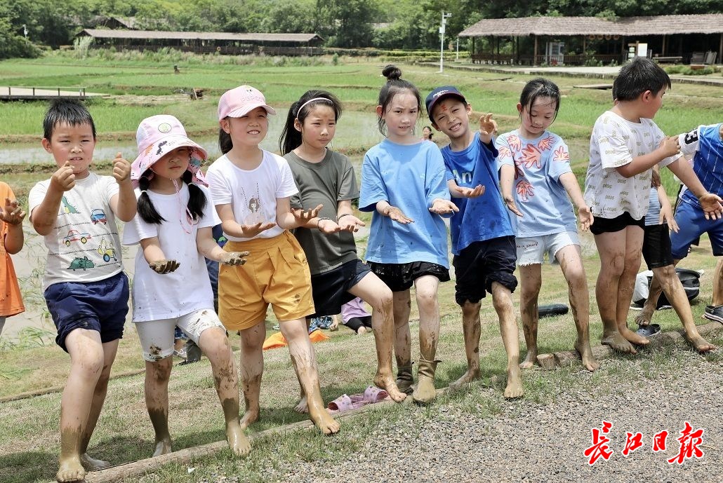 小学生变身农民插秧体验农耕