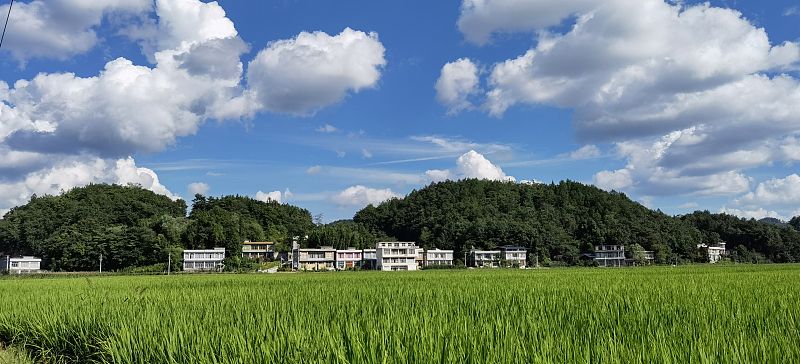 孝感市孝昌县小悟乡田堂村,黄冈市罗田县骆驼坳镇燕窝垸村,咸宁市通城