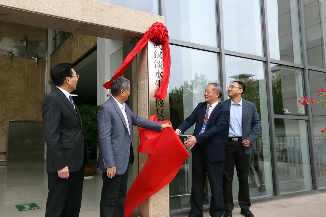 点击查看高清原图