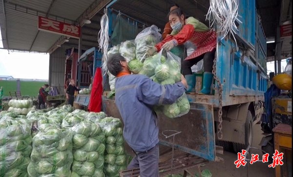 “菜比肉贵”说法不实，记者探访白沙洲大市场：供应量持续加大，菜价在下跌