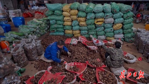 “菜比肉贵”说法不实，记者探访白沙洲大市场：供应量持续加大，菜价在下跌
