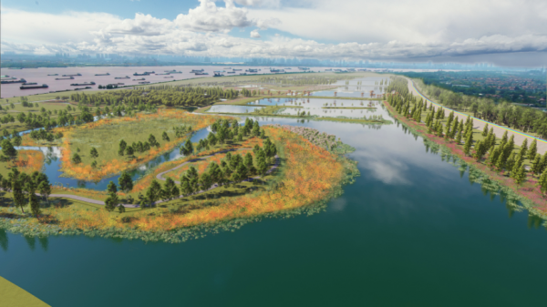 青山湿地生态综合整治启动，武汉长江南岸将添一处“湿地花城”
