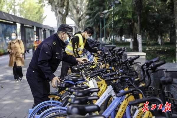 两天300名共享单车用户受罚，专家：“共治”才能实现真正的“共享”