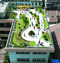武汉动建二十九个屋顶花园