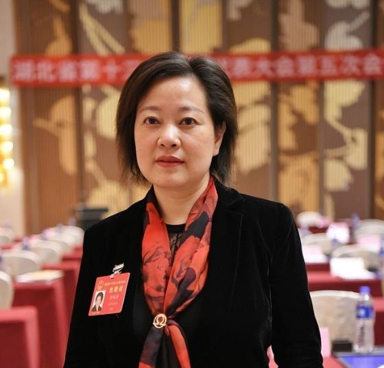 省人大代表徐丽芳:制定实施创新政策支持武汉老工业园提档升级