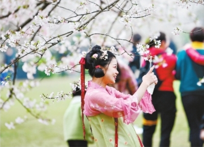 【樱花又开放——疫后重振看湖北】武汉因樱花季成旅游热门目的地 2021年文旅市场迎来“开门红”
