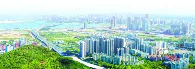 沪闽深自贸区建设:改革,每天都有奇迹发生