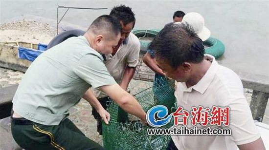 多名男子台风天下海挖花蛤 仅值数十元