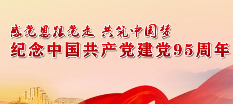 纪念中国共产党建党95周年