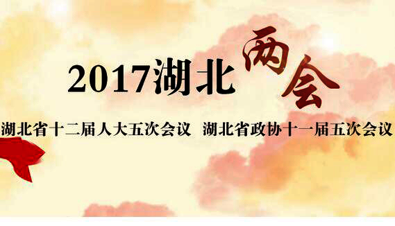 聚焦2017湖北两会