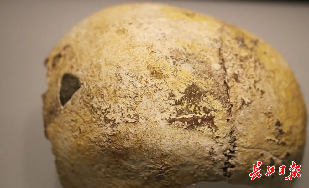两个百万年人头骨相距不到300米，这个发现具有世界意义