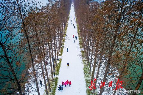 江城一夜雪，东湖皓已盈