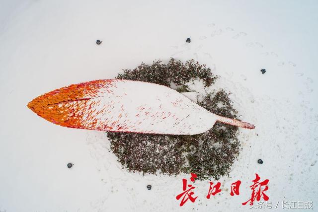 江城一夜雪，东湖皓已盈