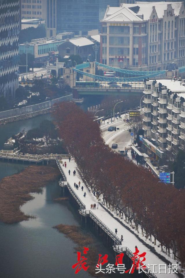 江城一夜雪，东湖皓已盈