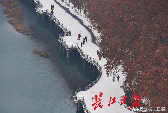 江城一夜雪，东湖皓已盈