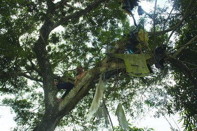 福建野人独居树屋12年 远古灶台木板床(图)_精