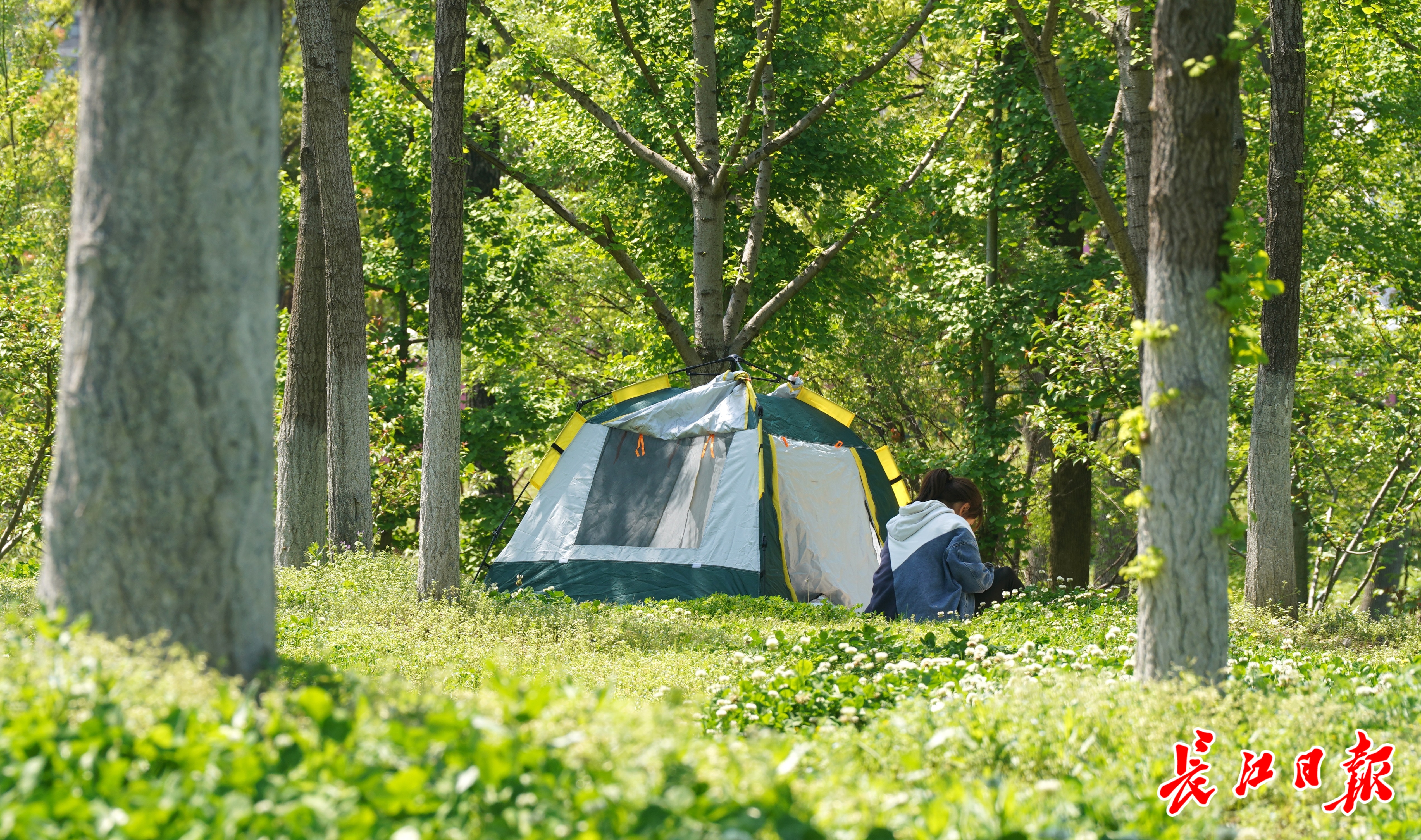 家门口可搭帐篷，武汉公园共享绿地增至72片