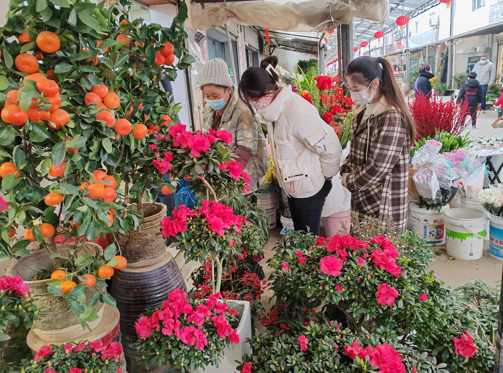 早安武汉｜今天最后一天！报名请抓紧
