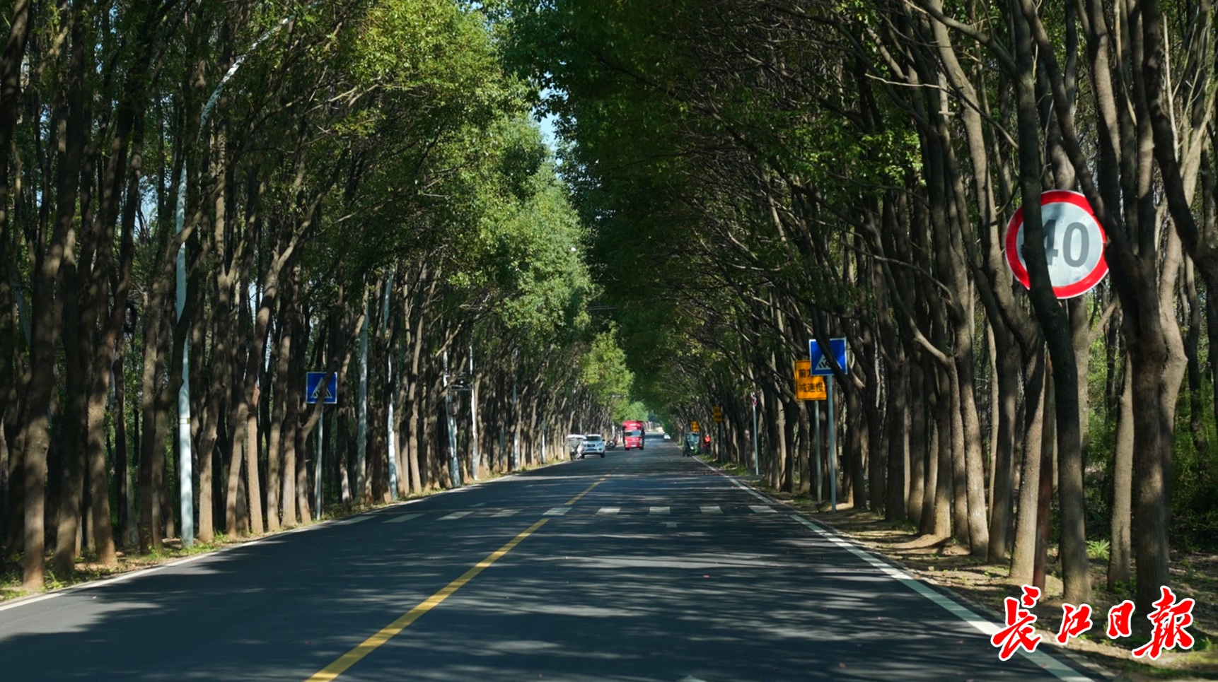 华山论见|一路畅行一路风光 柏宋线串起众多湿地