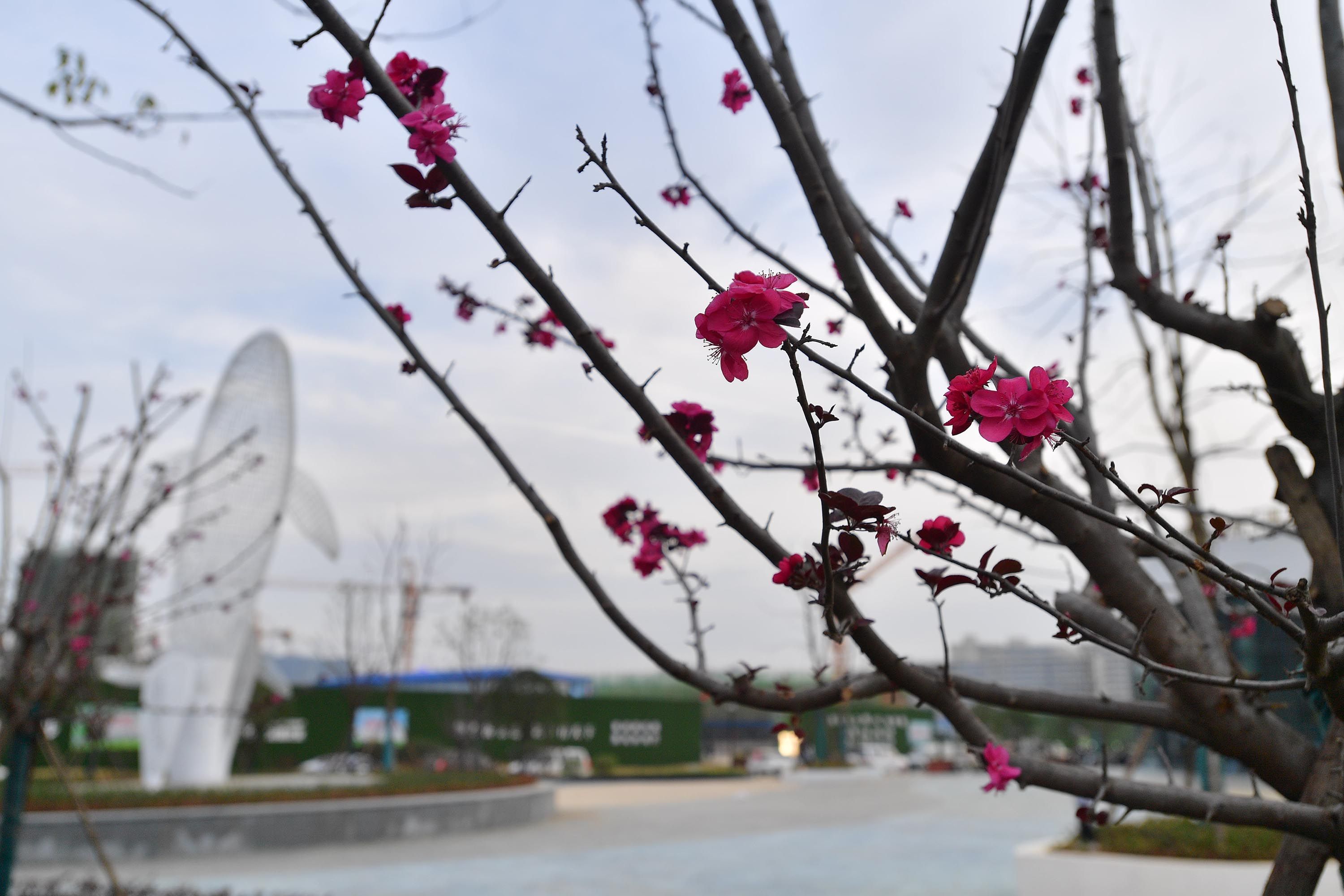 央视快评|这个地铁口新增7米高观景台 不少居民来此游玩