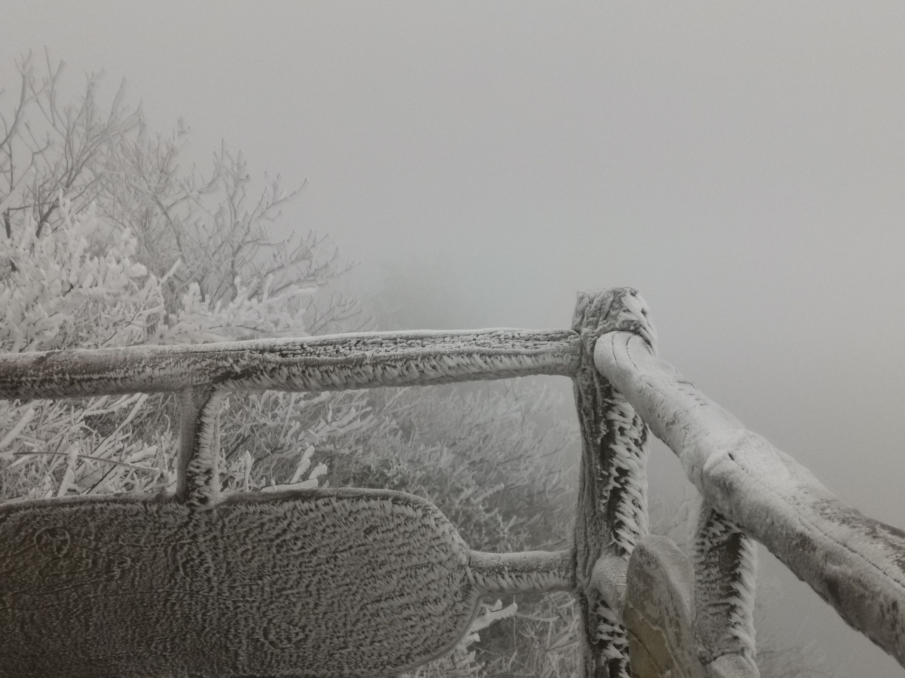 人民网评:今日 黄陂清凉寨迎初雪