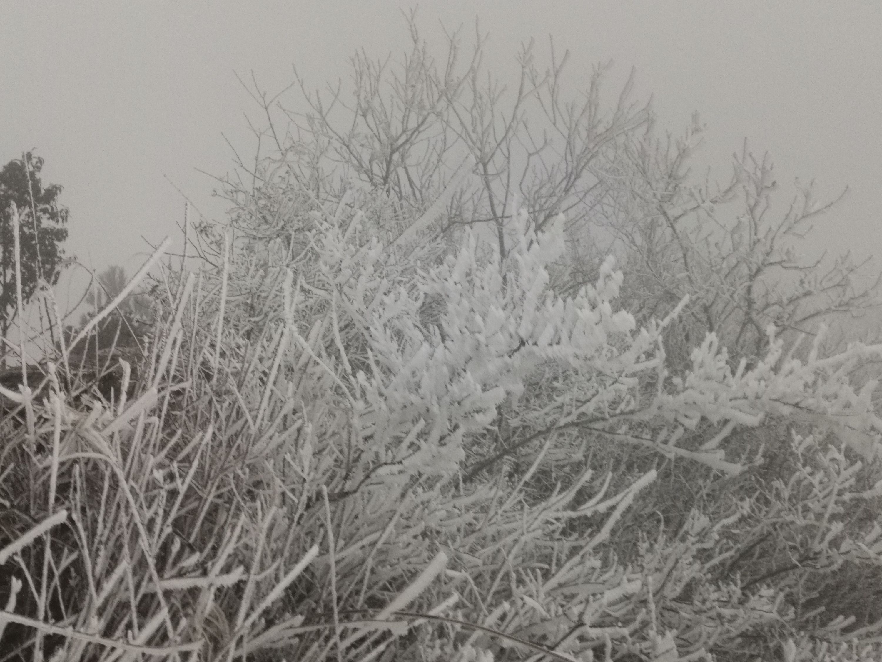 人民网评:今日 黄陂清凉寨迎初雪