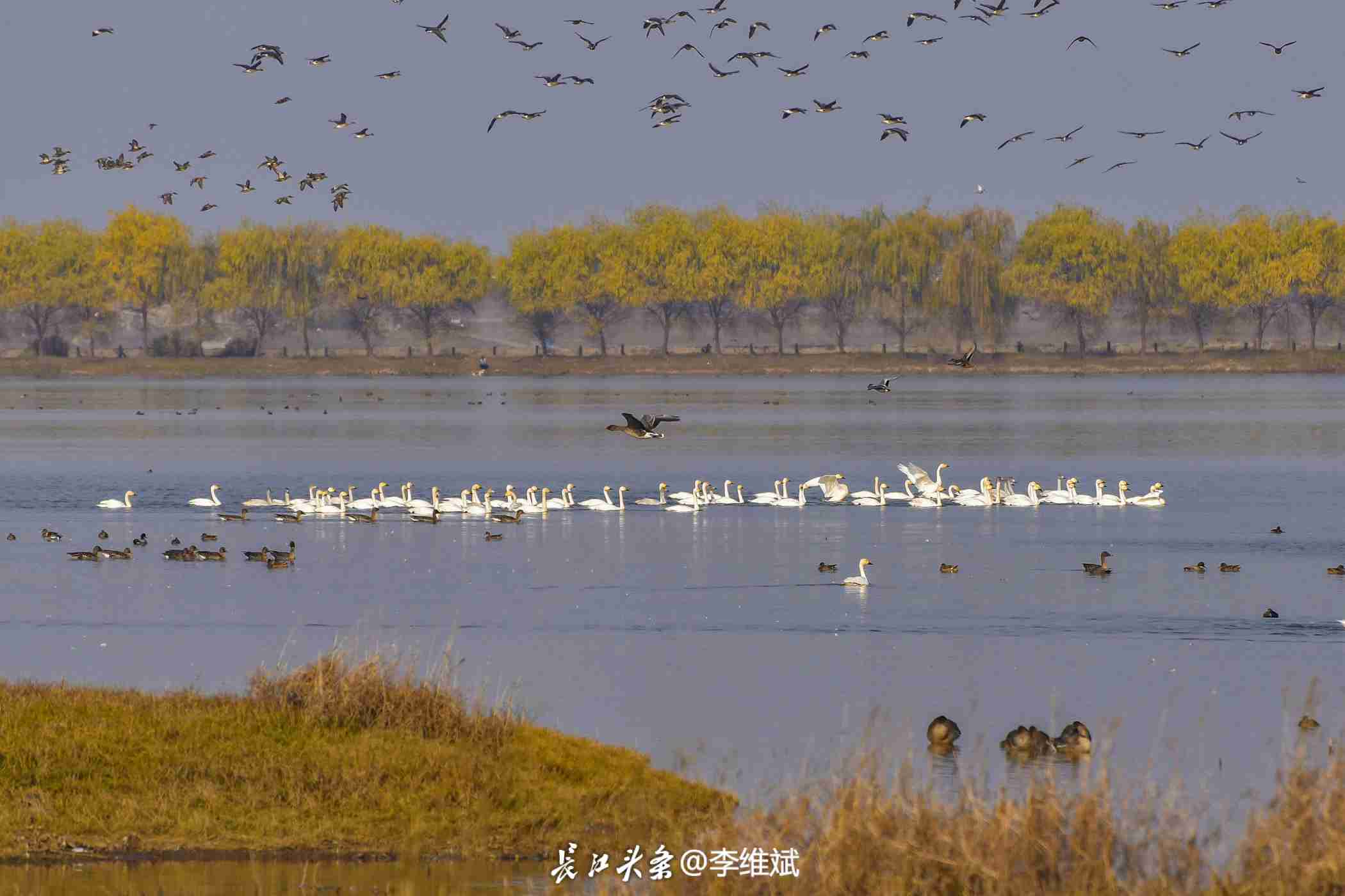 全球速看：冬日府河色彩缤纷风景如画 东西湖“冬游”好去处