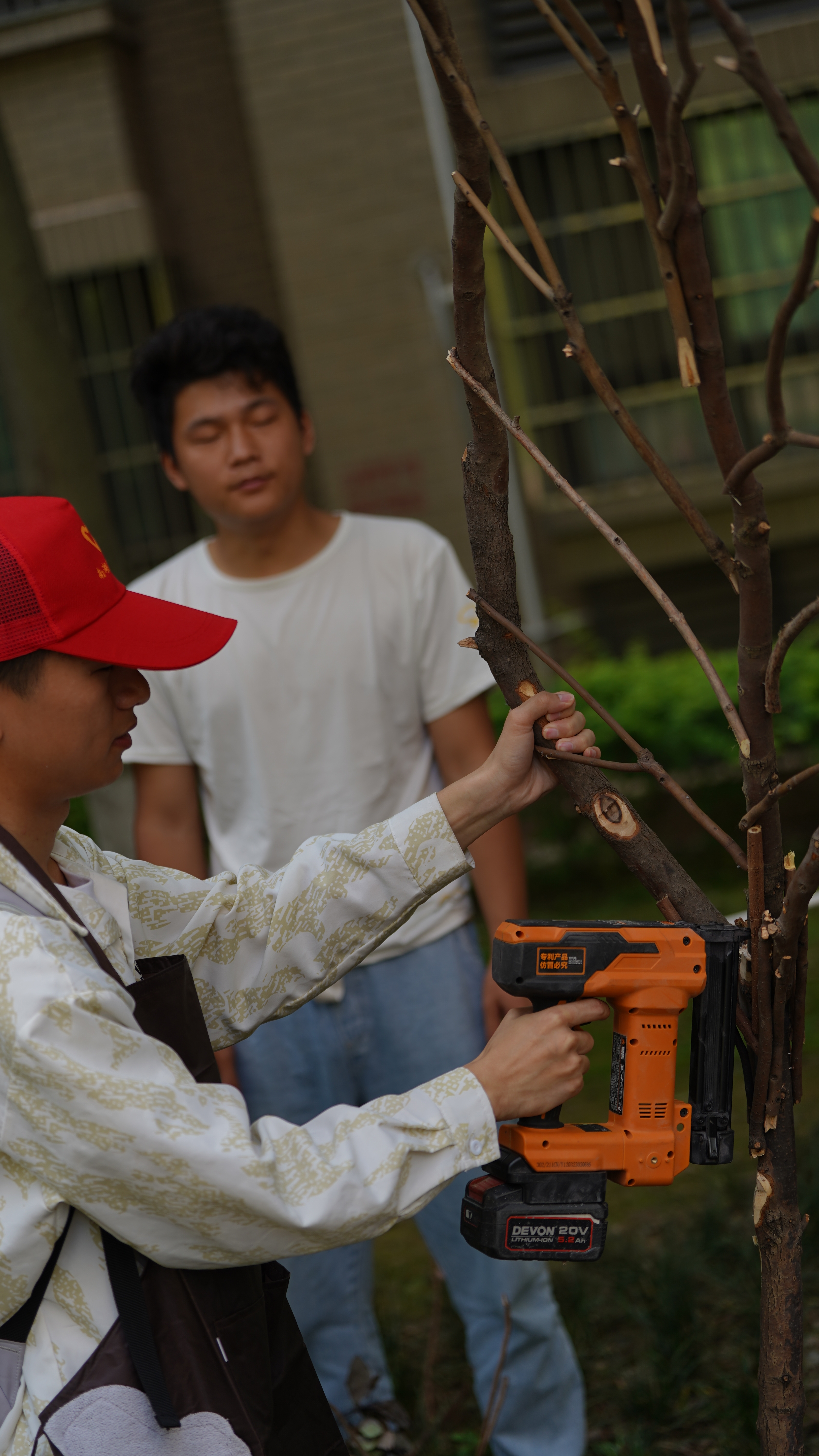 云顶集团园林技师手把手教小朋友种花帮社区居民共建花园(图6)