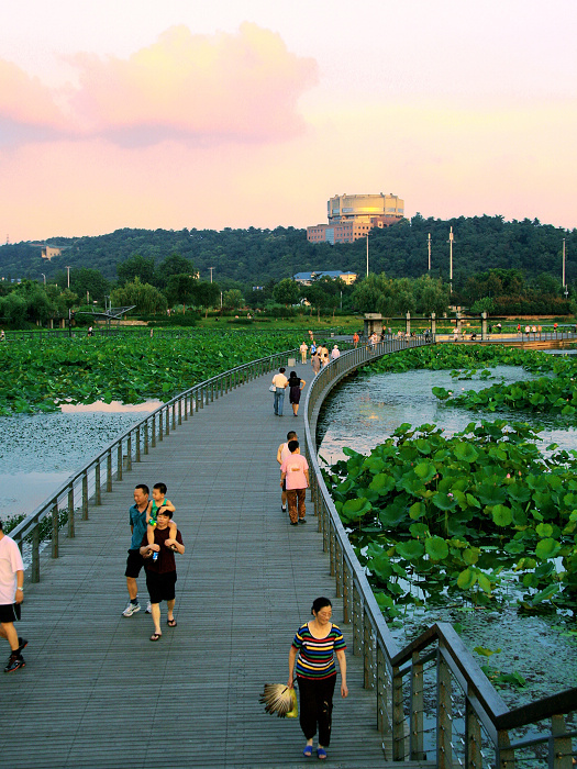 月湖景区