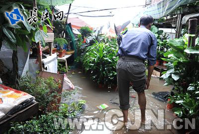 武汉港花鸟市场内已被水淹没