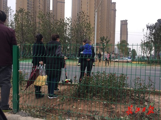 1.4公里无过街通道 市民呼吁建天桥