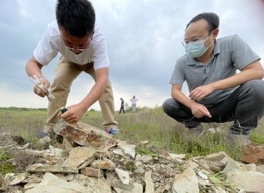 武汉这里能带娃挖真化石，遍地都是……