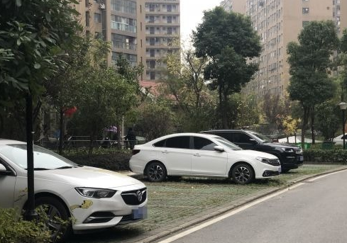 这个小区单双号停车！业主、物业、管理部门这样说
