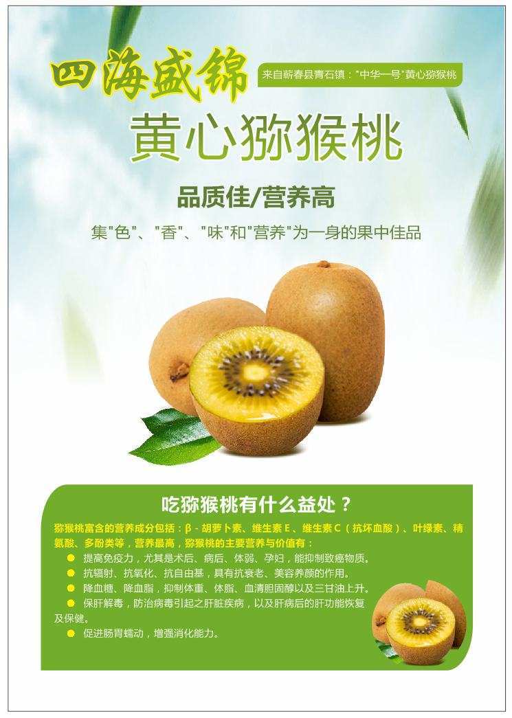 奇异果体育平台秋风送爽瓜果飘香四海盛锦黄心奇异果又丰收了!(图3)