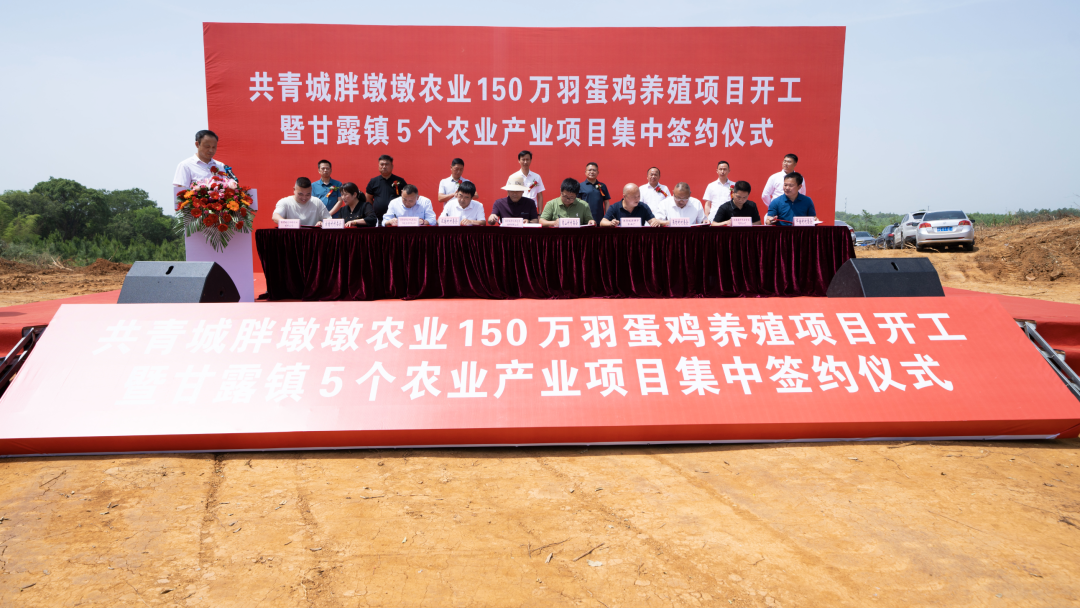 共青城胖墩墩农业150万羽蛋鸡养殖项目开工
