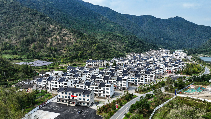 乡村蝶变 向美而行