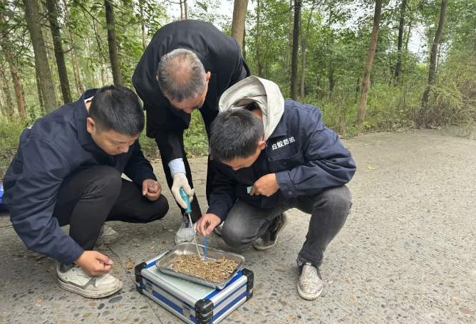 泸州白蚁调查新发现:种类增至21种,3种白蚁在四川首次发现