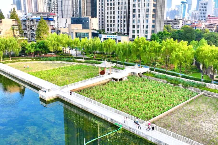 2024年度市级美丽河湖优秀案例（八）江汉区菱角湖