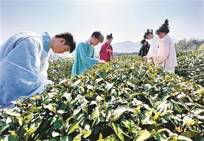 不能多喝的4种茶1种伤肾1种毁肠道还有2种会致癌