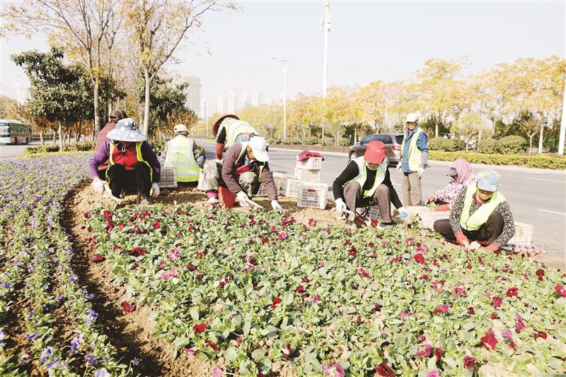 绿化带内栽植乔木1400多株 撑起更多遮阳伞