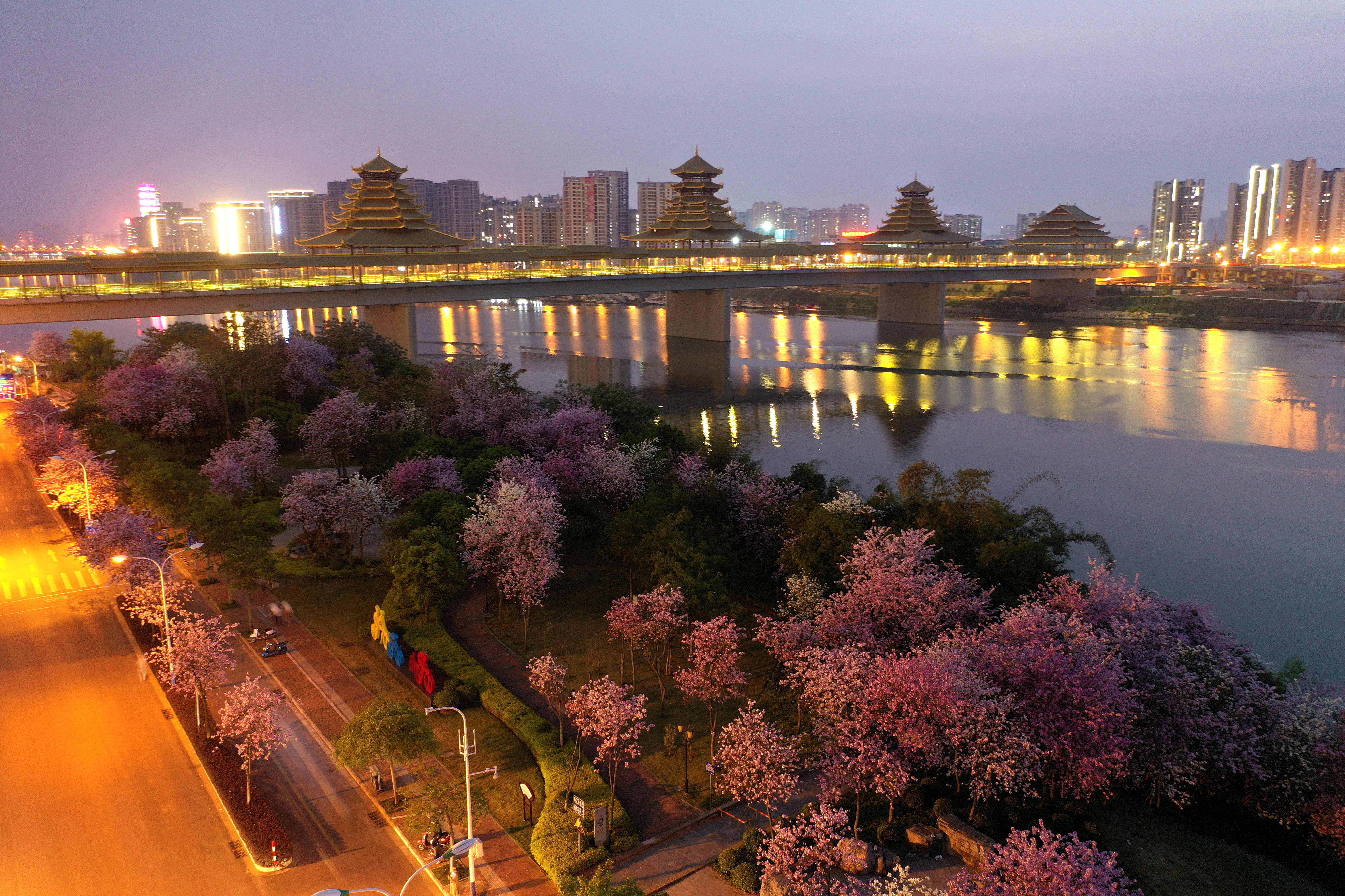 郑州紫荆山公园夜景图片