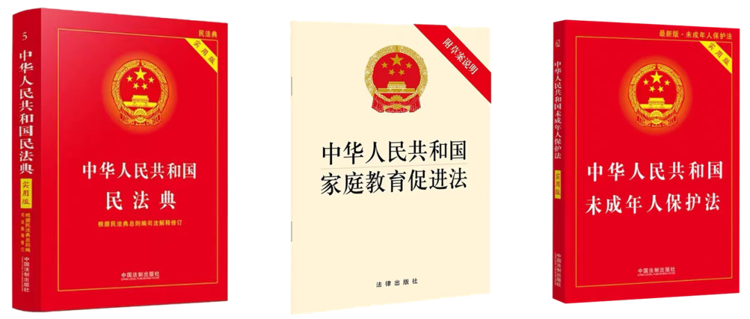 家庭教育宣传周02洪山法院召开护航行动宣传中华人民共和国家庭教育