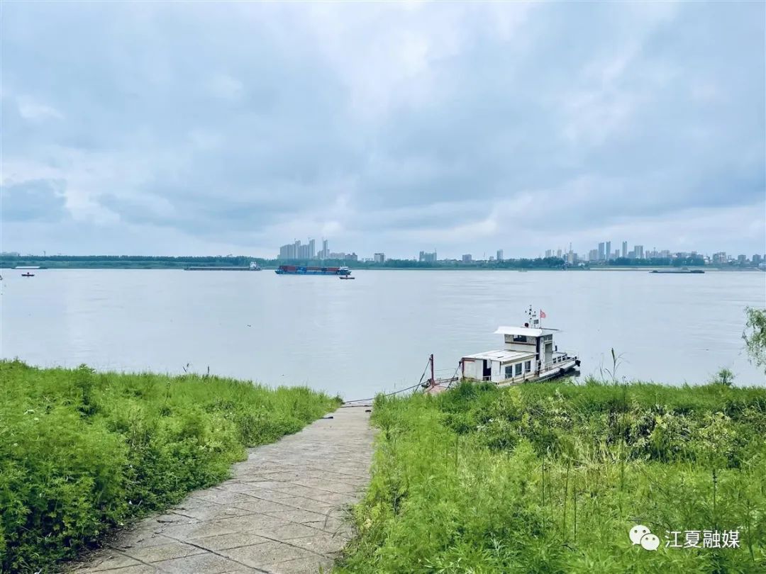 湖北蔬菜主题旅游第一村江夏这个村将大变身