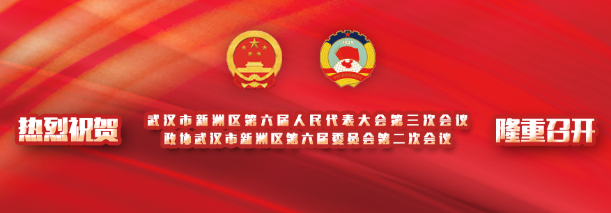 聚焦两会 | 政协武汉市新洲区第六届委员会第二次会议开幕