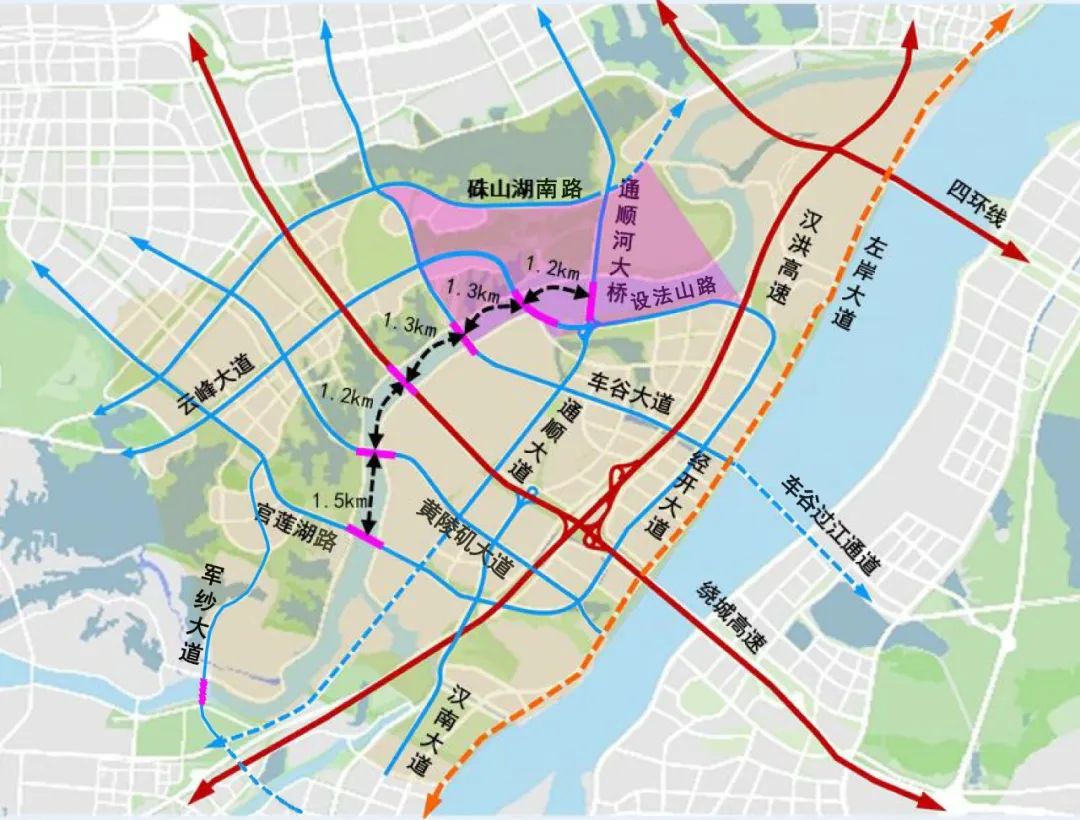 武汉经开区专题研究加快军山新城路网体系建设