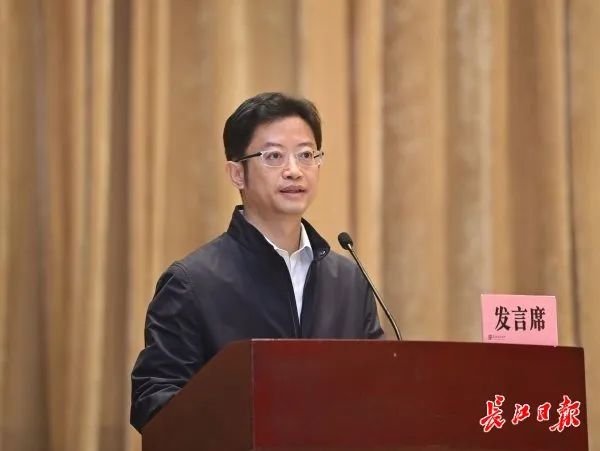 武汉经开区2位民营企业家代表在全市大会上作交流发言